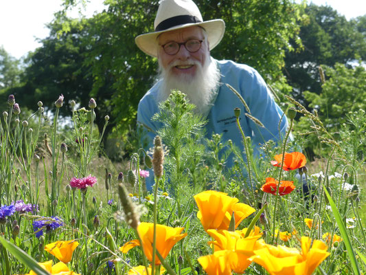 Gartenbotschafter John Langley - Bienen- und Augenweide - Foto Petra Schweim