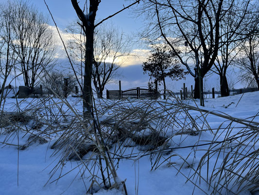 Foto: Petra Schweim - Februar - die blaue Stunde auf dem 'Appelbarg'