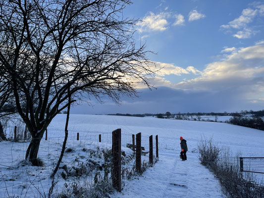 Foto: Petra Schweim - Februar - die blaue Stunde auf dem 'Appelbarg'