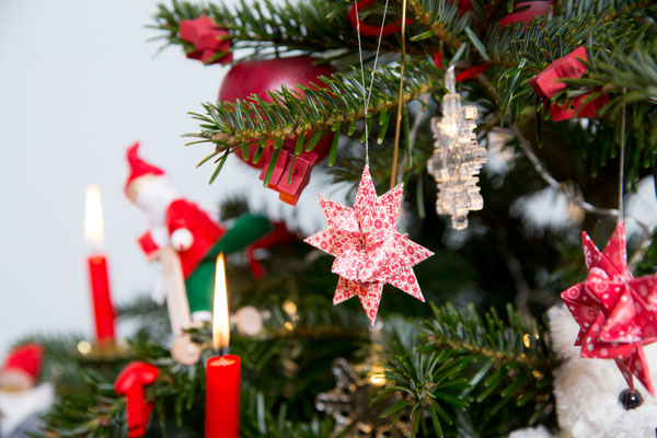 Foto: Claudia Timmann - Weihnachtsbaum 2017