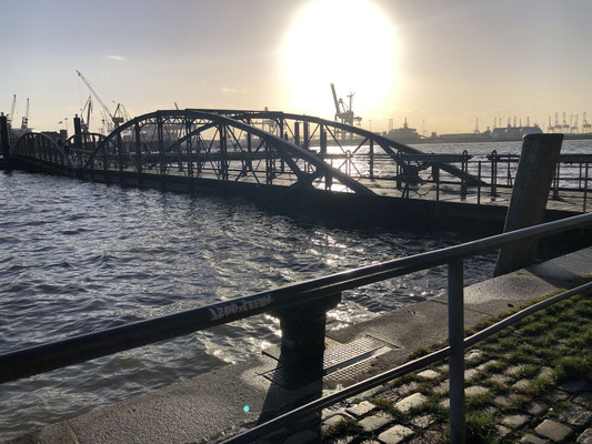 Der Blick aus der Fischaktionshalle an der Elbe