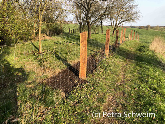 Fotos: Petra Schweim #Appelbarg - Staudenpflanz- und Aussaatzeit