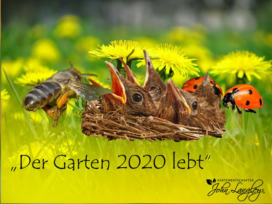 VISUELL VORGESTELLT IN BARGTEHEIDE- "DER GARTEN 2020 LEBT"