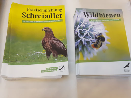 Senatsempfang 25 Jahre Deutsche Wildtierstiftung - Foto: P.S.