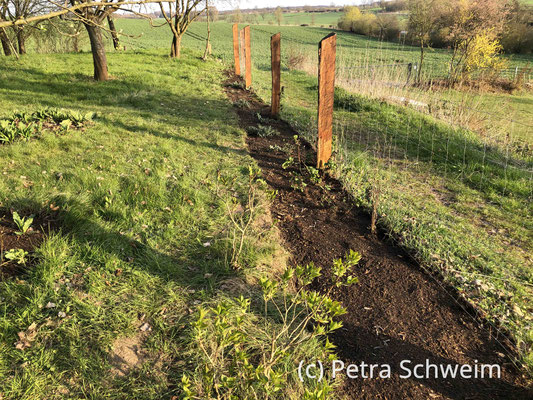 Fotos: Petra Schweim #Appelbarg - Staudenpflanz- und Aussaatzeit