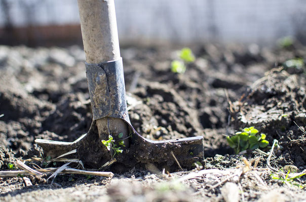 Umweltgerechtes Verhalten im Garten_Graben_Werkzeug