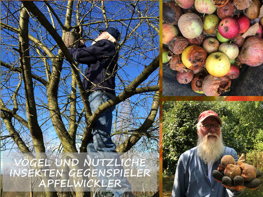 VISUELL VORGESTELLT IN BARGTEHEIDE- "DER GARTEN 2020 LEBT"