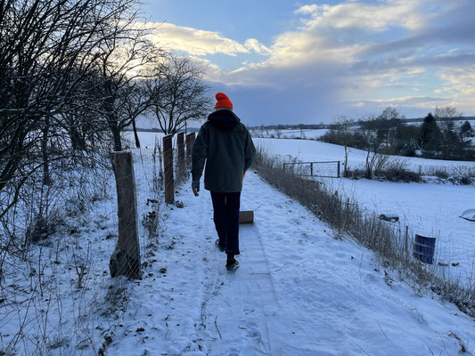 Foto: Petra Schweim - Februar - die blaue Stunde auf dem 'Appelbarg'