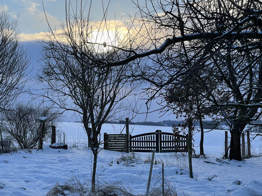 Foto: Petra Schweim - Februar - die blaue Stunde auf dem 'Appelbarg'