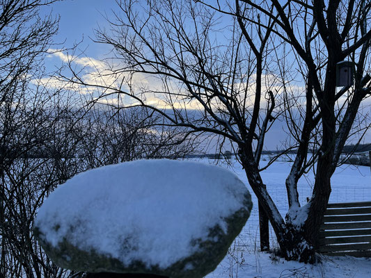 Foto: Petra Schweim - Februar - die blaue Stunde auf dem 'Appelbarg'