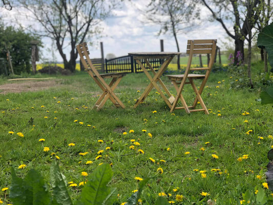 Foto: Petra Schweim - Gewöhnliche Löwenzahn (Taraxacum officinale) blühen auch auf dem #appelbarg.