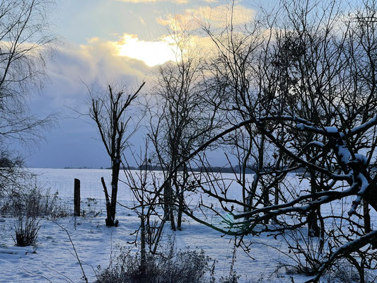 Foto: Petra Schweim - Februar - die blaue Stunde auf dem 'Appelbarg'