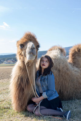 Anna/ Achmed, photo: Anna Grünauer, Kamele Österreich