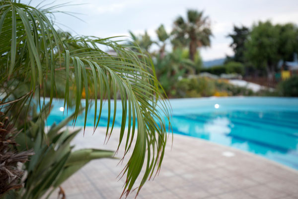 kleine Palme, Hotel Electra Palace, photo: Anna Grünauer