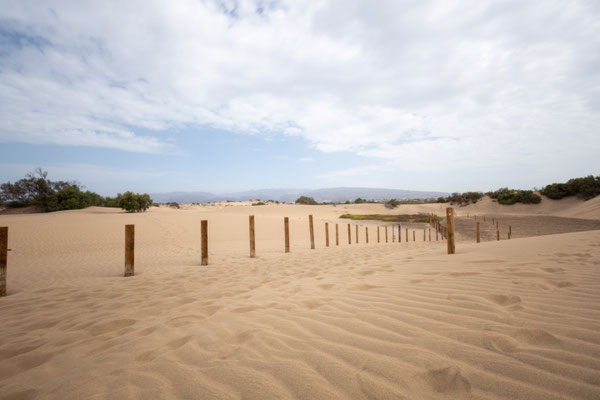 Dünen von Maspalomas, photo: Anna Grünauer