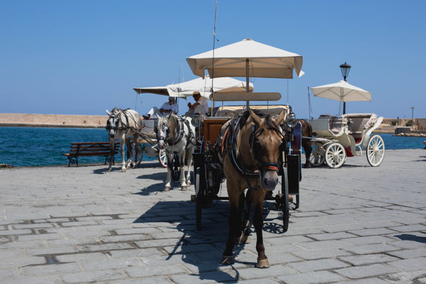 Anna Grünauer, Chania Kutsche