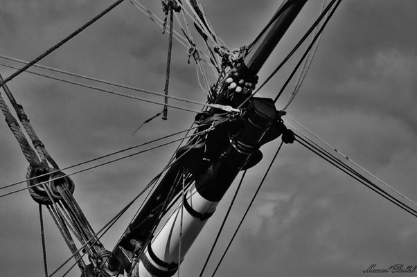 hermione bateau dimension l hermione noir et blanc manuel belleli hermione bateau dimension l hermione noir et blanc manuel belleli