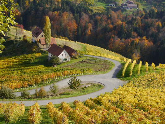 Siegfried Bamschabl - Steirische Weinstraße