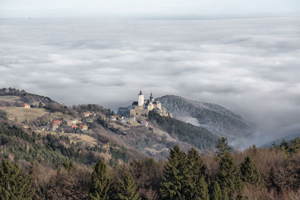 Pinter Stefan, Burg Forchtenstein