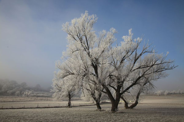 Lindl Hannes, Winterbeginn 1