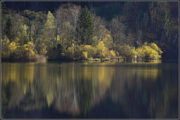 Bernhard Hopfer - LunzerSee