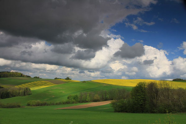 Lindl Hannes, Burgenländische Hügellandschaft