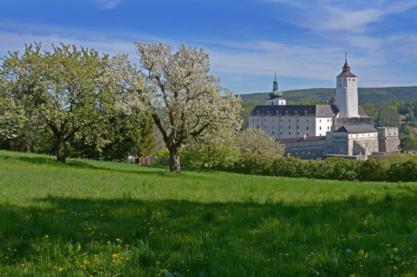 Erwin Baier - Burg Forchtenstein