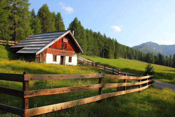 PLATTNER Angela, Gamssteinhütte am Venet