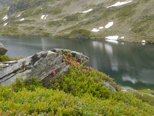 Siegfried Bamschabl - Giglachsee