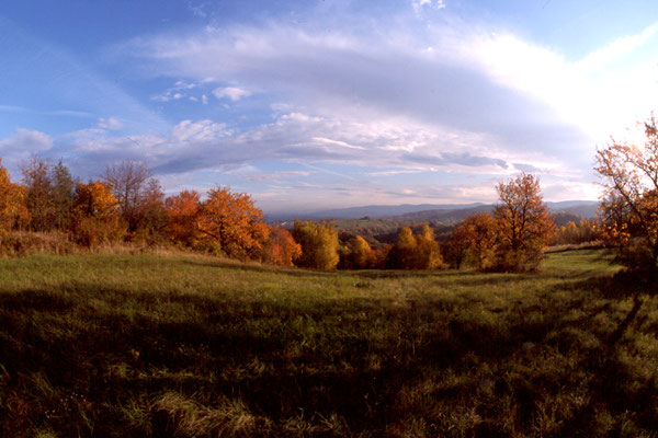 Horvath Josef, bei Marz