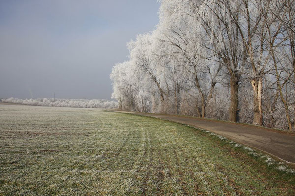 Lindl Hannes, Winterbeginn 2