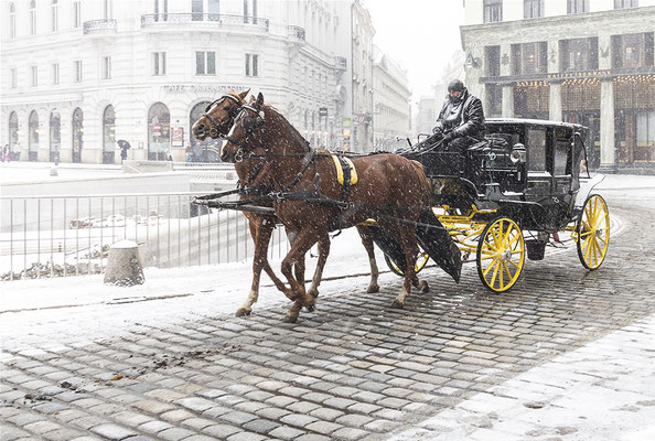 © Maria Bein, Fiaker am Michaeler Platz