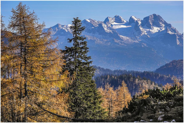 Eckhard Nussmüller - Blick zum Dachstein