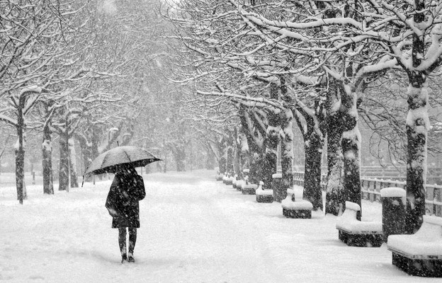 WIDMER Beda, Schneefall in Bregenz