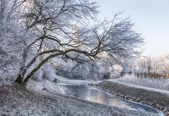 © Maria Bein, Wien, Liesingbach