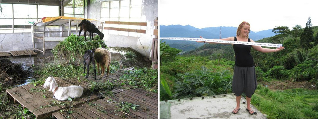 Farm bei Lenggong - Perak (Malaysia)