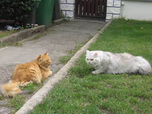 Charly et Betsy