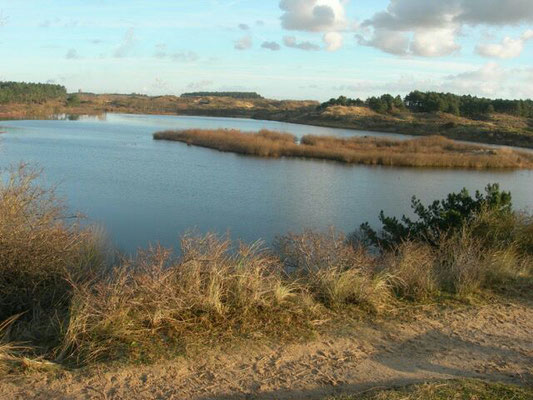 Vogelmeer Kennemerduinen