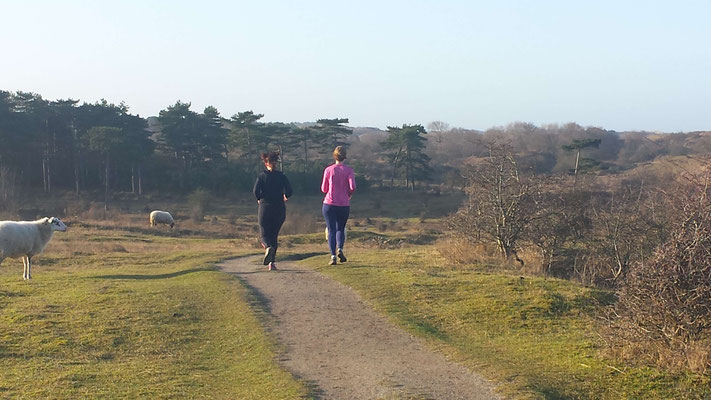 Bij runningtherapie  lopen we in de duinen en krijg je 1 op 1 coaching afgestemd op jouw niveau en doelstelling  