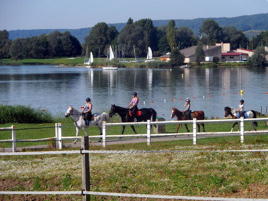 Promenade à cheval à Madine