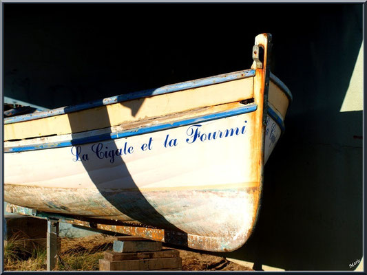 Pinassotte "La Cigale et la Fourmi" 