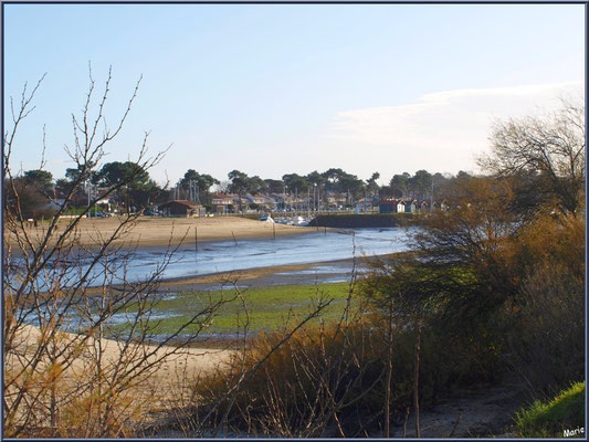 Port à marée basse