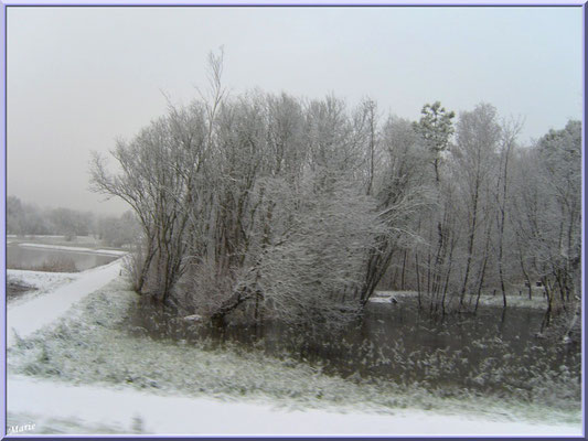 Les prés salés Ouest de La Teste de Buch sous la neige en décembre 2010 (Bassin d'Arcachon)