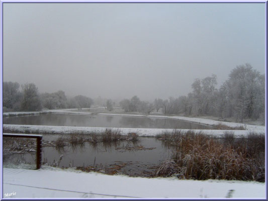 Les prés salés Ouest de La Teste de Buch sous la neige en décembre 2010 (Bassin d'Arcachon)