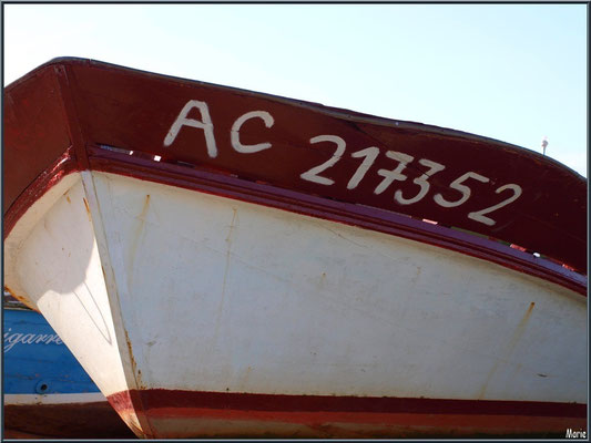 Bateau chaland, proue 