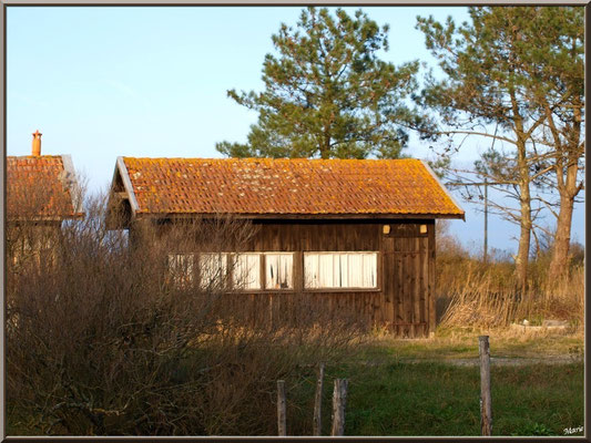Cabane à l'entrée port 