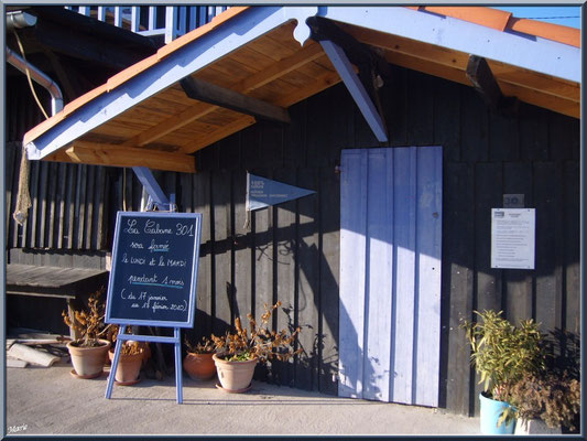 Dégustation d'huîtres "La Cabane 301" sur le port au lieu-dit Le Pointon