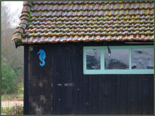 Cabane 69 et son hippocampe au port ostréicole de La Teste de Buch (Bassin d'Arcachon)