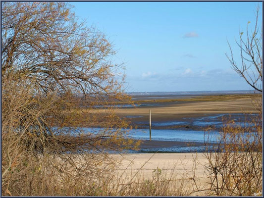 Chenal d'entrée au port à marée basse