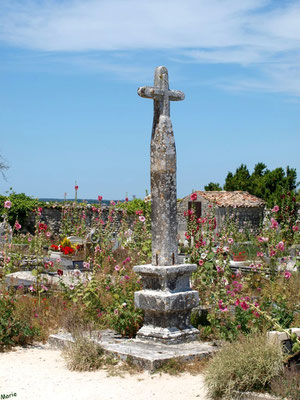 Le cimetière marin ou ancien cimetière à Talmont-sur-Gironde (Charente-Maritime) à la saison des roses trémières (courant juillet)